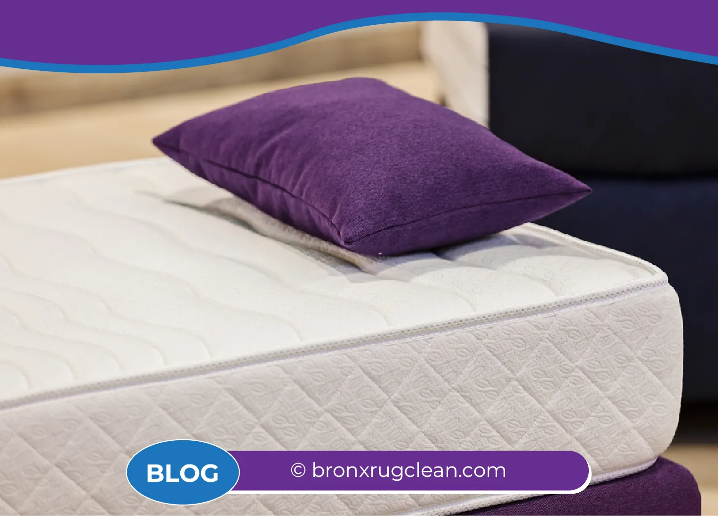 carpet cleaning in bronx, carpet cleaning in new york, carpet cleaning bronx, carpet cleaners in bronx, carpet cleaners in new york, commercial carpet cleaning, commercial carpet cleaning in bronx, bronx rug cleaners, rug cleaning services in bronx, same day carpet cleaning, same day rug cleaning
